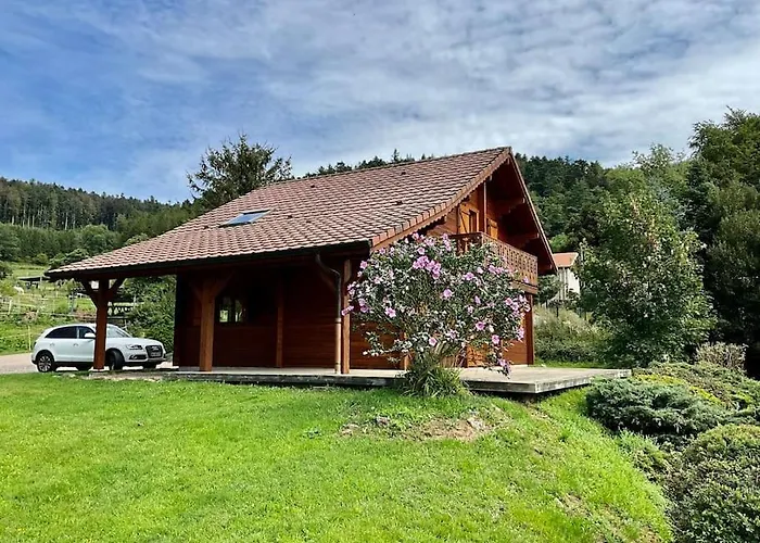 Le Chappoix - Spa, Terrasse Et Grand Jardin * Granges-sur-Vologne